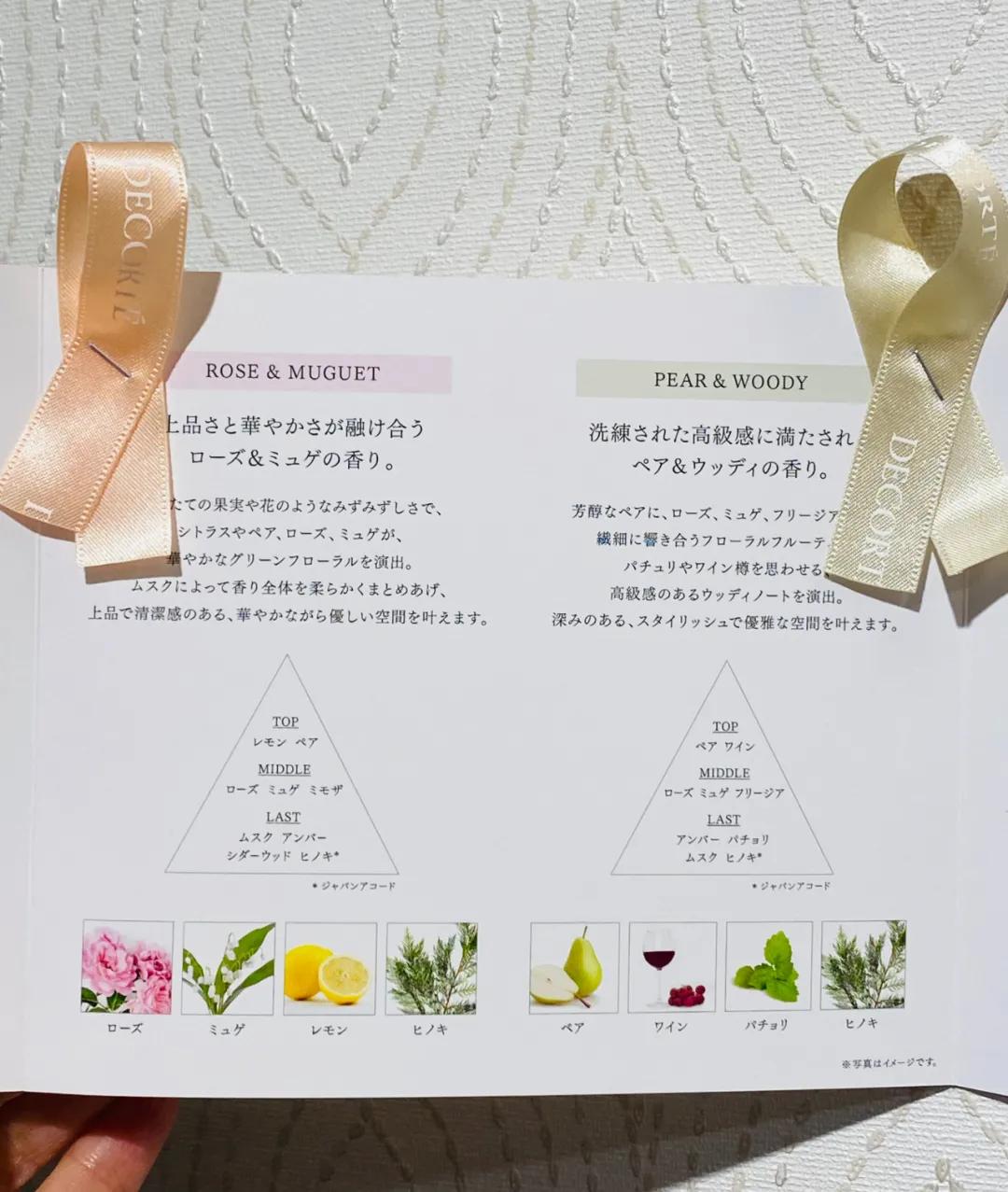 黛珂新系列,黛珂又出神仙单品今年秋冬就盘它