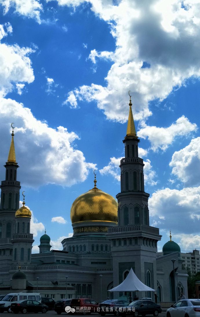 约维奇出现欧洲杯赛场,圣彼得堡约会视频