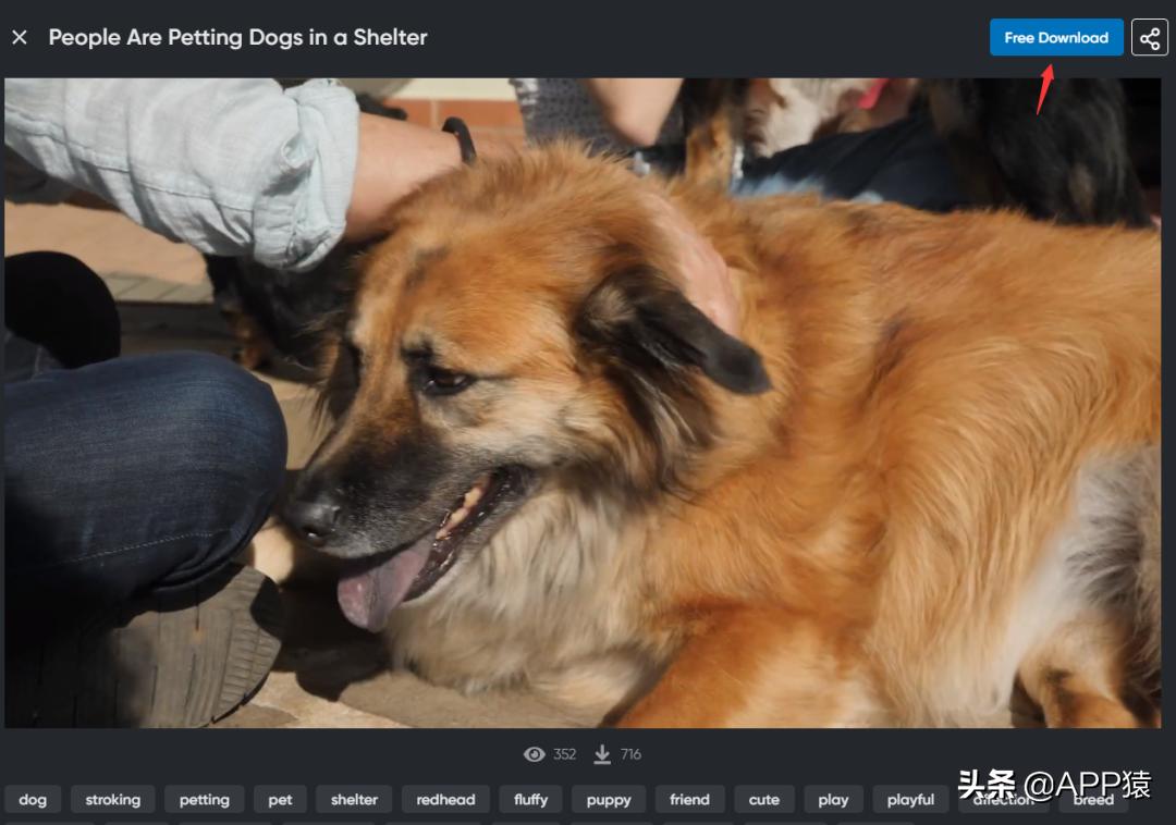 免费的kindle电子书最全网站,免费好用的导航网站