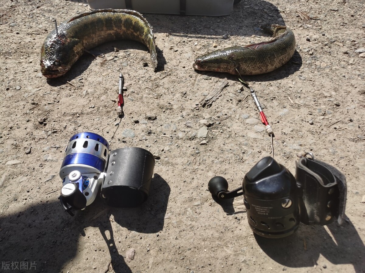 非法捕鱼注意什么,如何避免非法捕鱼