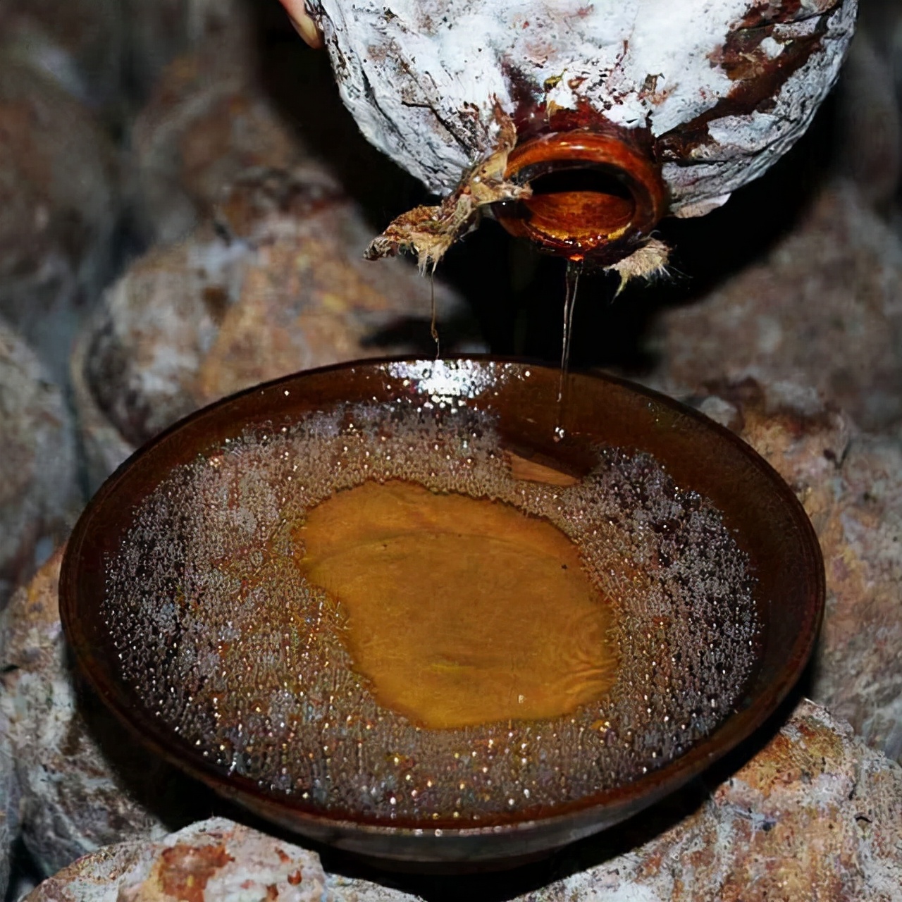 苏沧桑作品,苏沧桑小说