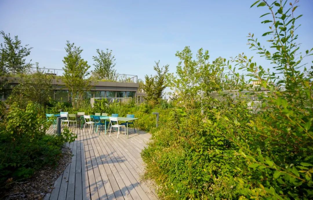 被绿植包围的大楼,被绿植围绕的空间