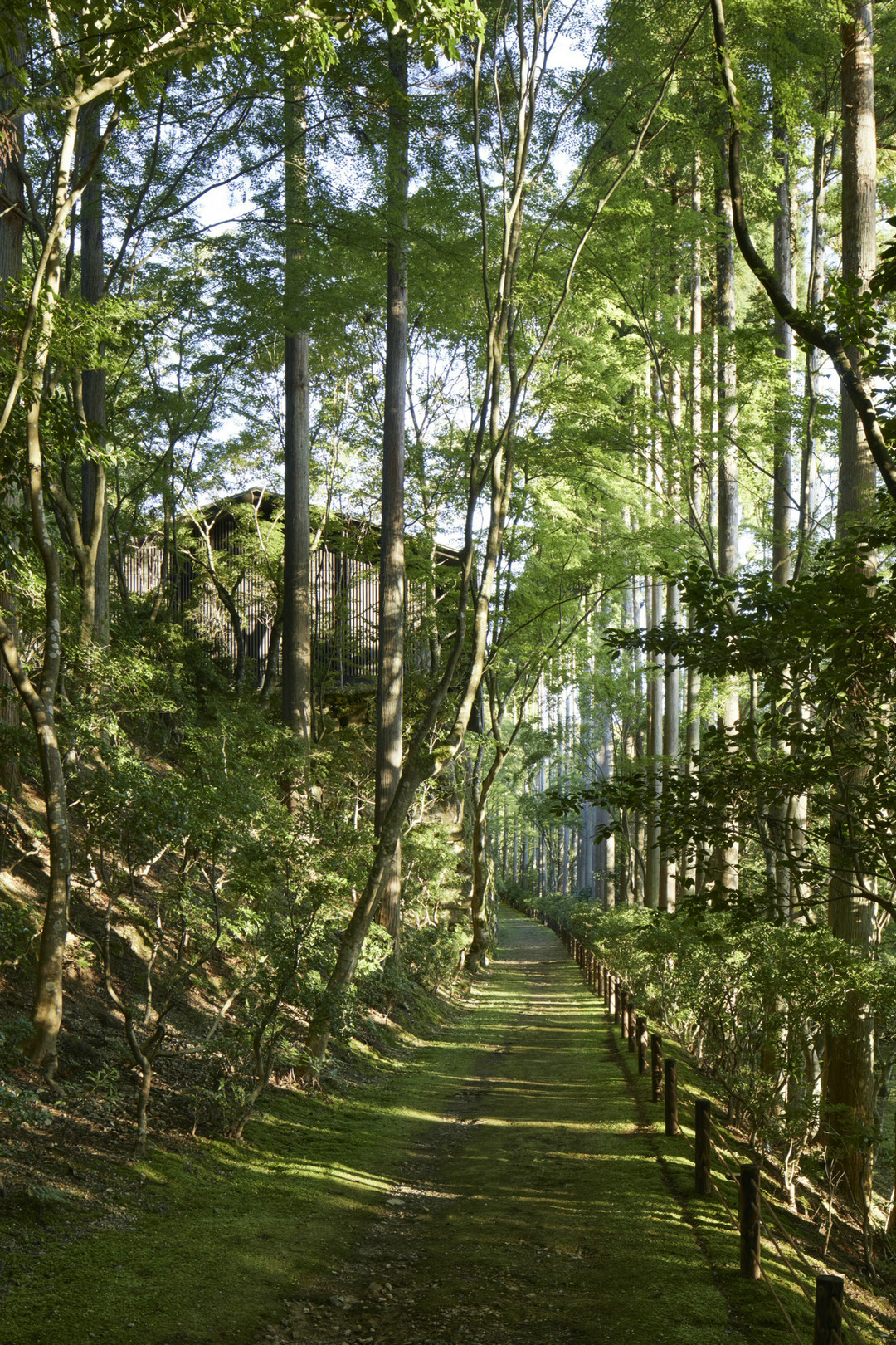 京都安缦多少钱,京都柏悦跟安缦