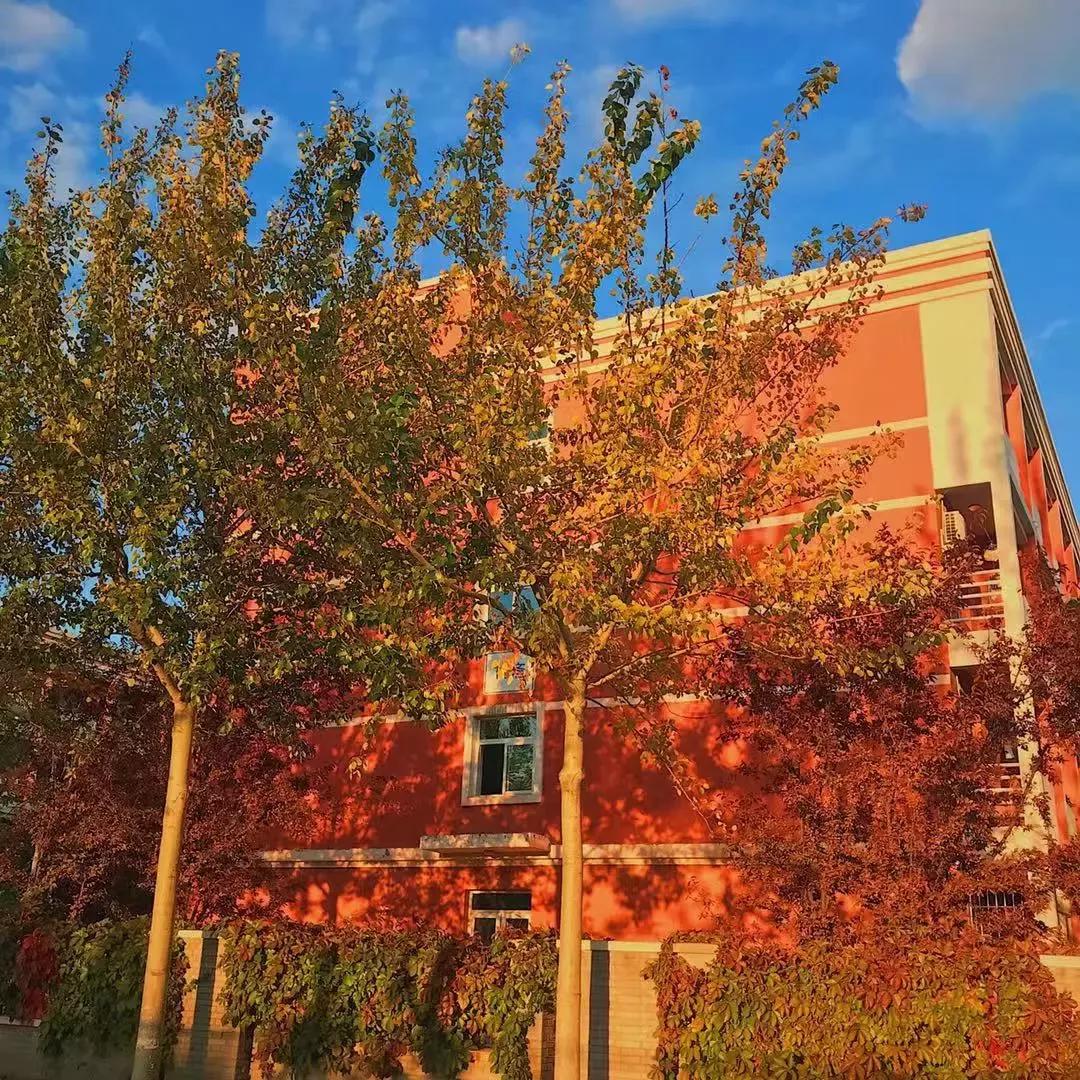 北京科技大学天津学院原独立学院,北京科技大学天津学院独立学院