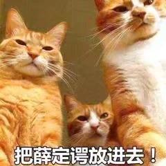深入浅出讲解薛定谔的猫,关于薛定谔的猫的故事