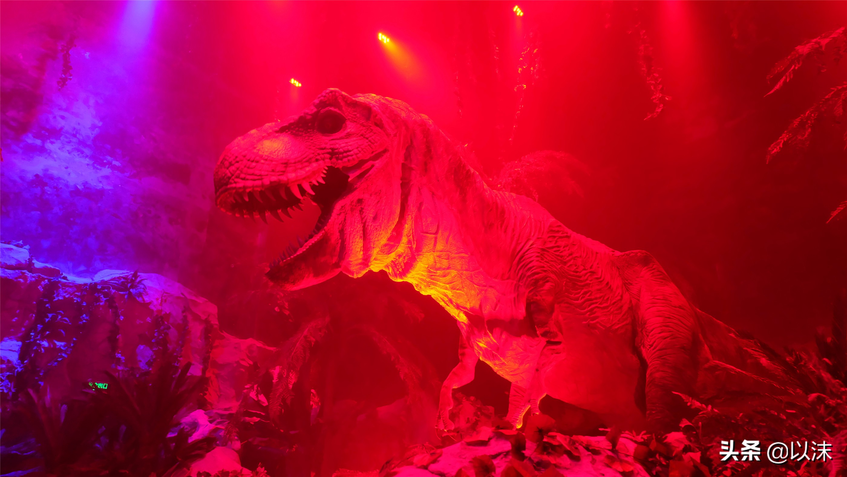 长隆野生动物世界游玩攻略,长隆野生动物世界带娃攻略