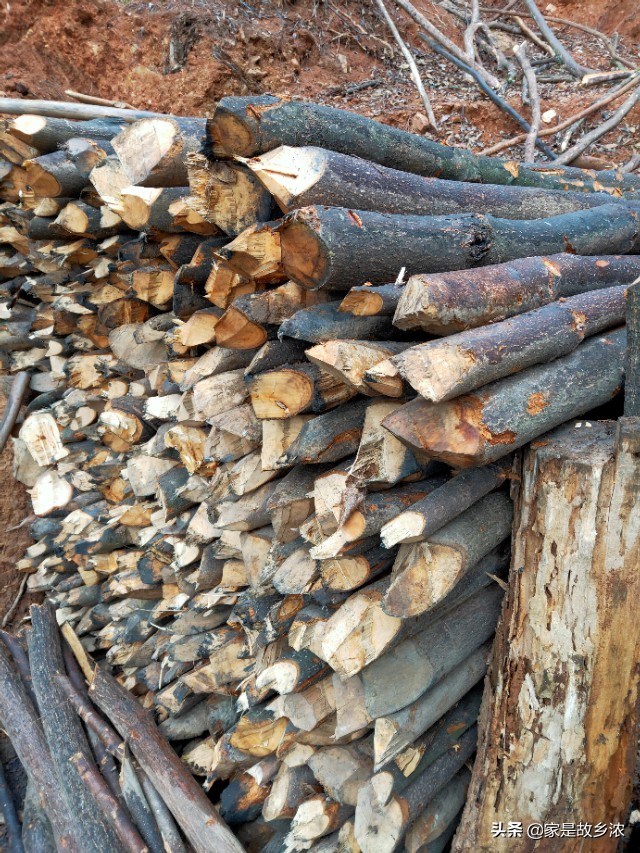 真正的果木炭原木炭,传统木炭怎么烧炭