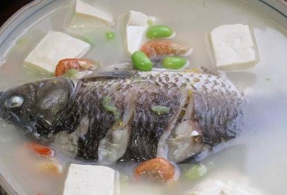 炖鲫鱼汤用了凉水怎么办,炖鲫鱼汤不白
