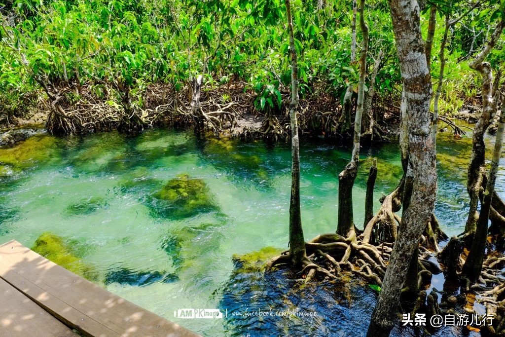 泰国#甲米府#超级旅行宝典