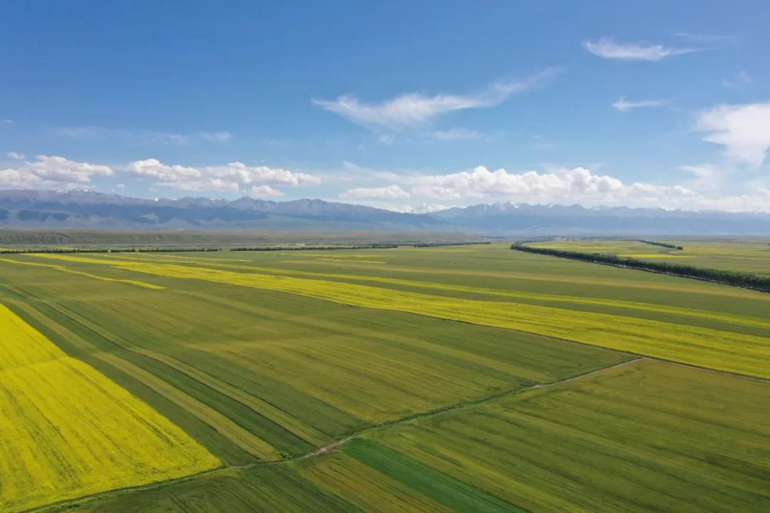 伊犁最美的50处绝色美景,伊犁最美的小众景点