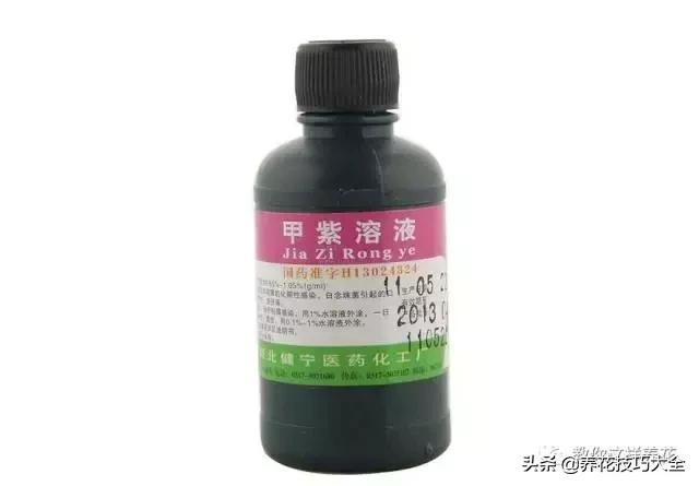 家里过期的小药片兑上水浇花,过期药扔花盆里花蔫了怎么办