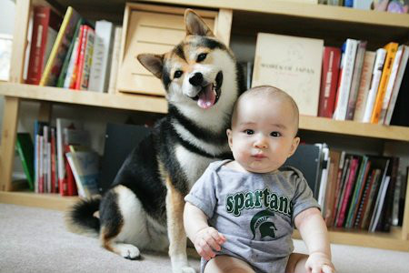 小朋友最适合养的十大动物,宠物家庭适合新手养的三种动物