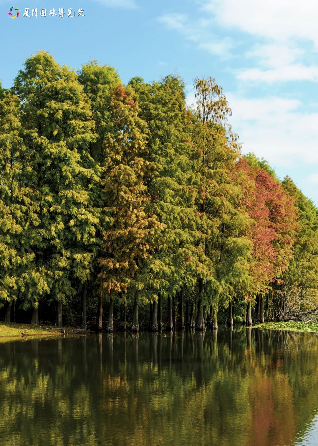 速来！园博苑有让*欲人**罢不能的季相变化之美，还有众多萌物陪伴你~