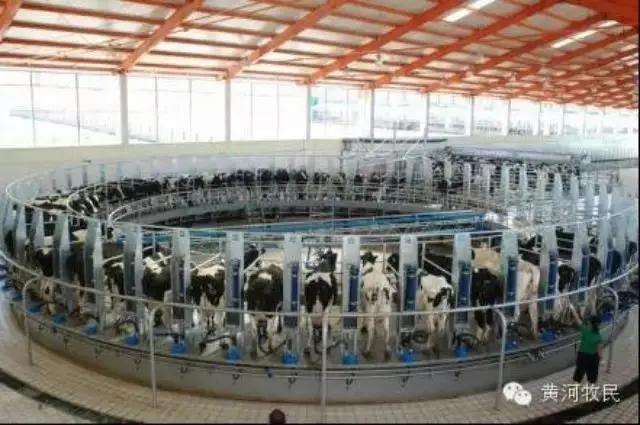 奶厅操作工,奶厅操作工是干什么的