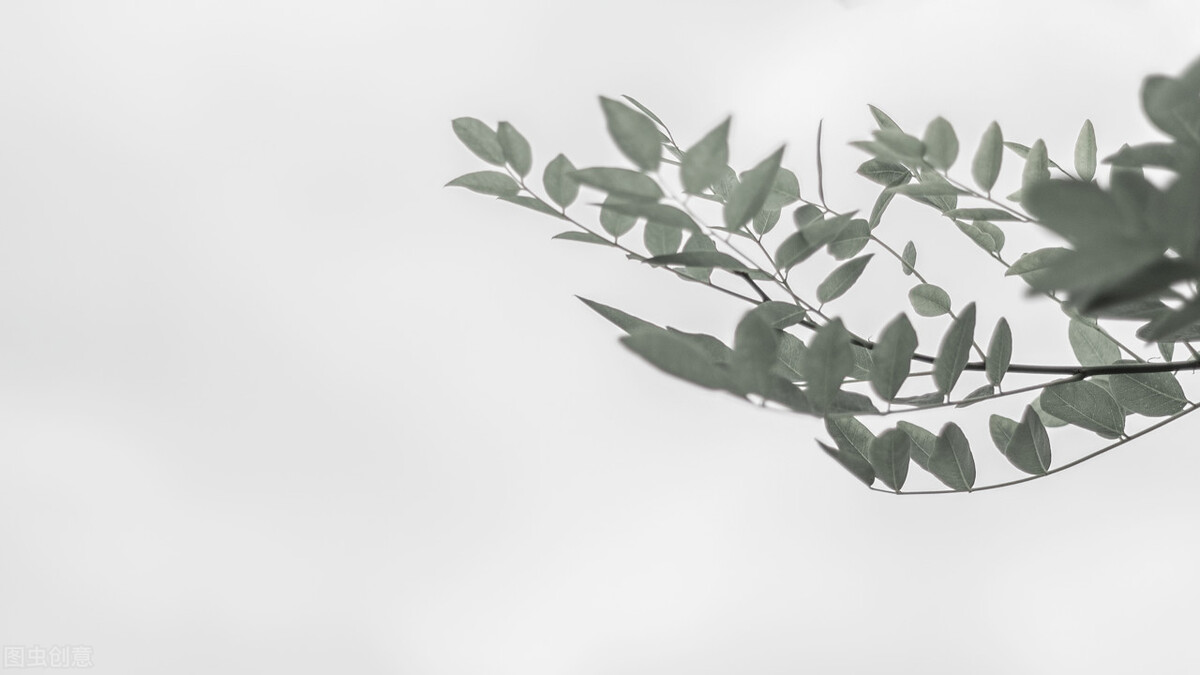 在百度贴吧做首页霸屏,留下联系信息效果爆棚