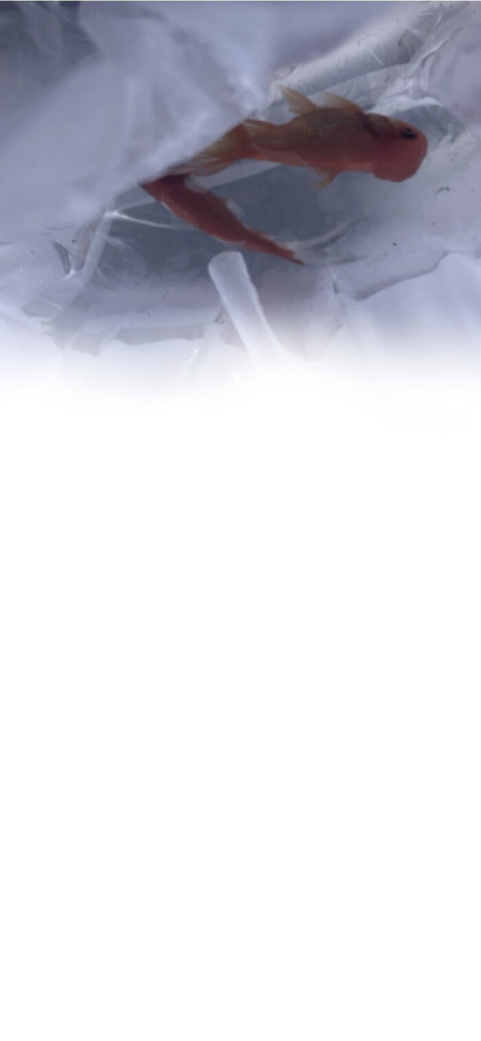 渐变渲染背景图,渐变背景图红黑