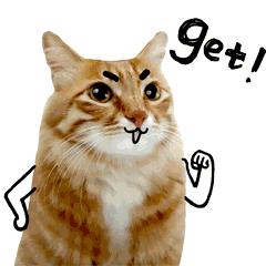 华西耳鸣专家郑芸在哪里坐诊,华西郑芸耳鸣治疗方法