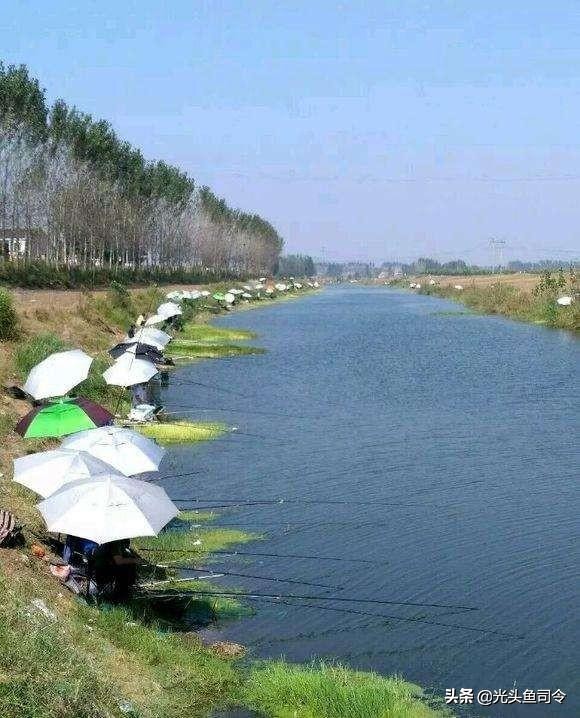 初夏野钓鲫鱼七星漂,初夏野钓钓鲫鱼