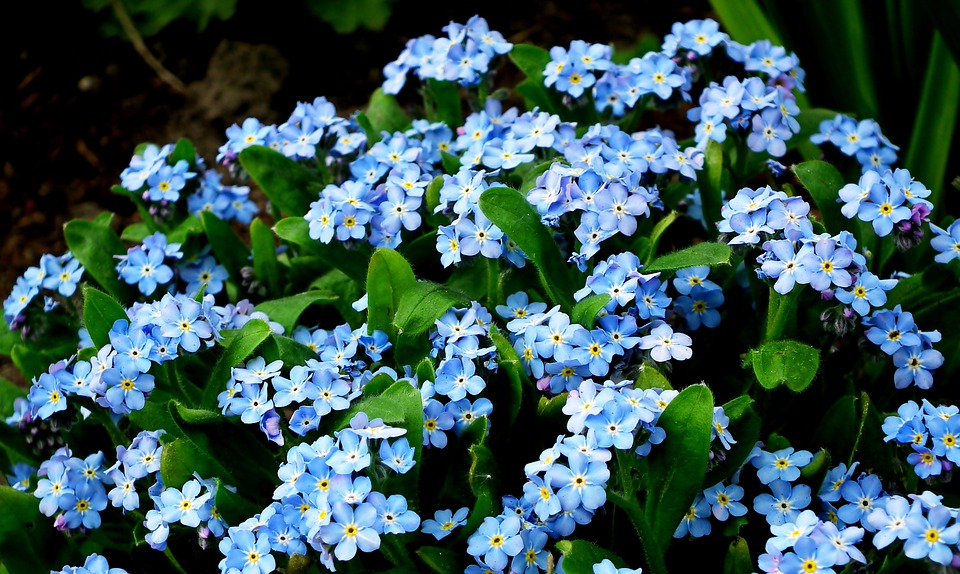 当男人沉默的时候,女人这样做,他会更爱你