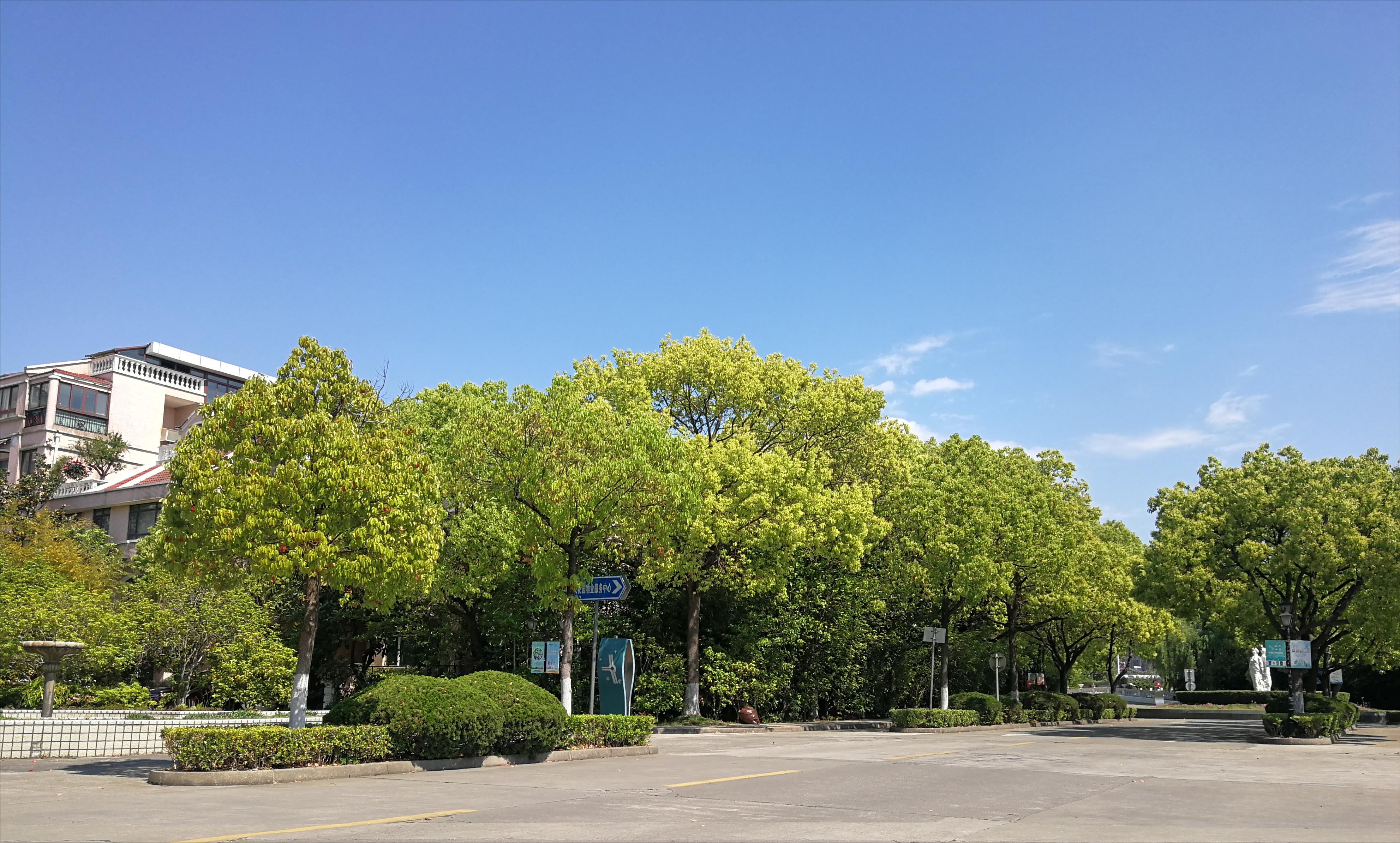 中介买房的亲身经历,魔都购房压力