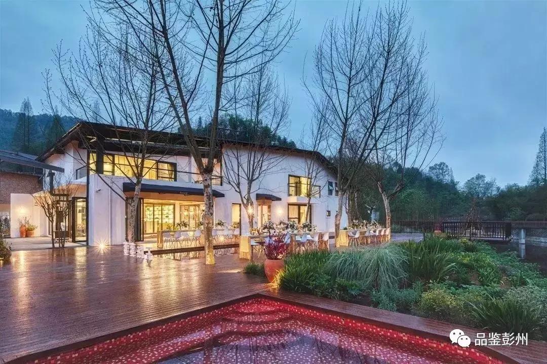 五朵金花组团出战,五朵金花齐聚的时候