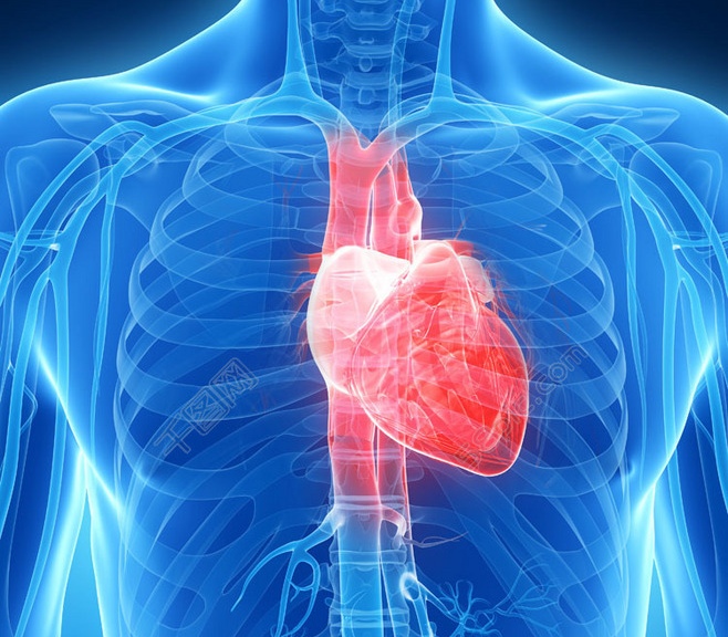 心里像揣了只兔子一样七上八下,心里像揣了一只小兔子是什么心情