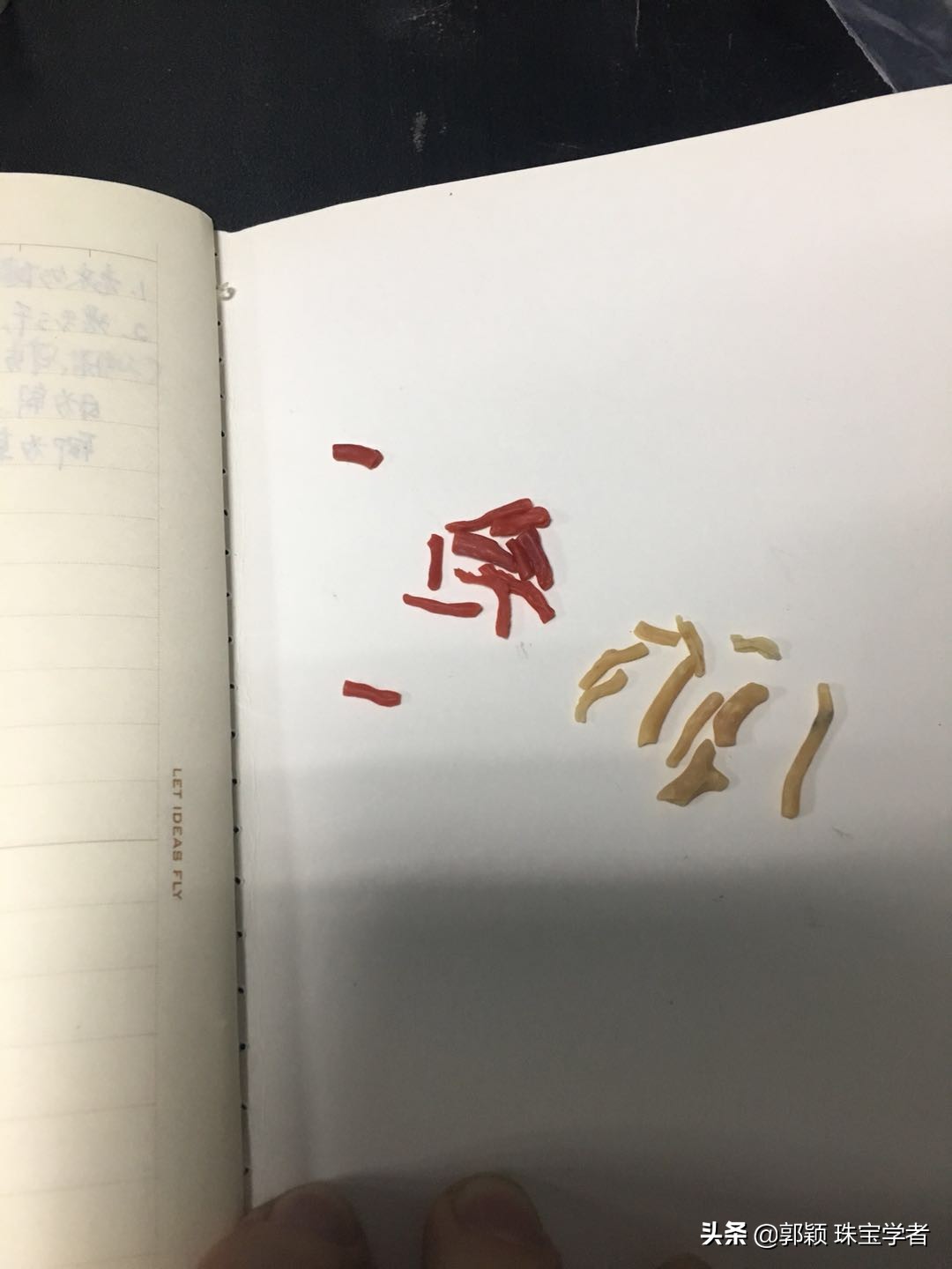 红珊瑚会褪色吗是真的吗,红珊瑚褪色的样子