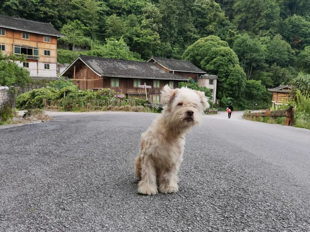 隐秘的村庄：龙塘村