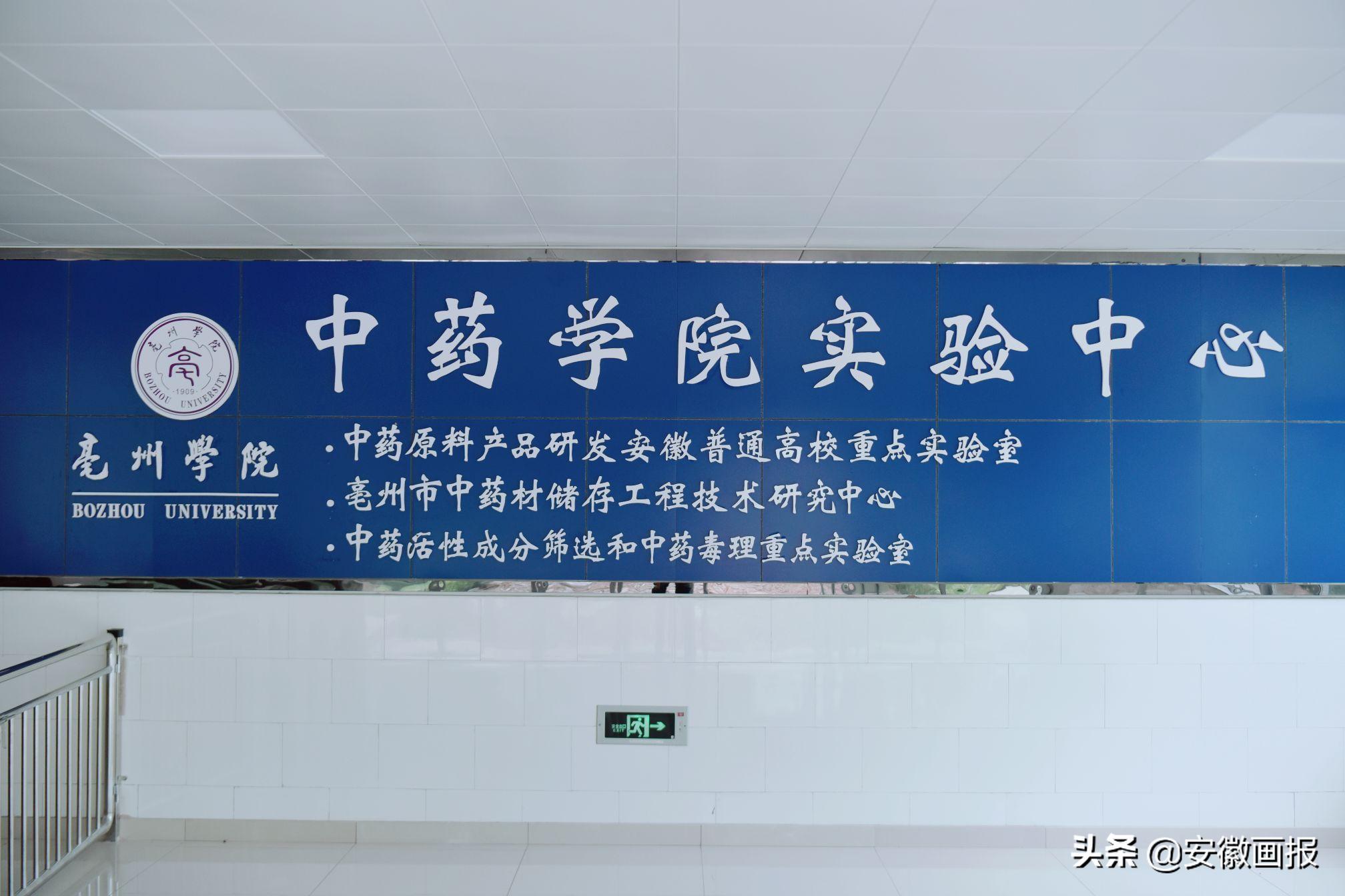 安徽亳州学院是省内什么档次,安徽二本大学排名亳州学院