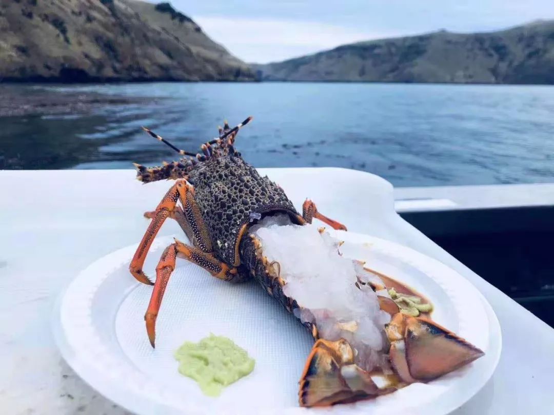 中国小伙去新西兰却横扫对手获得冠军，每份食材在手上都是艺术品