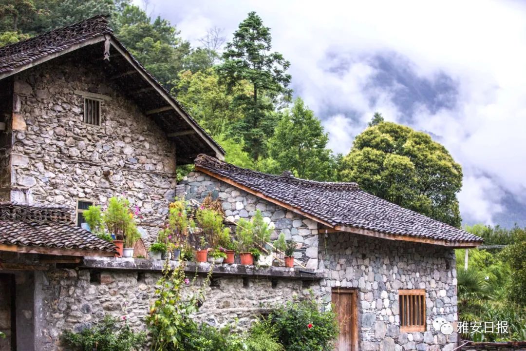 来雅安旅游,雅安二郎山休闲特色民宿