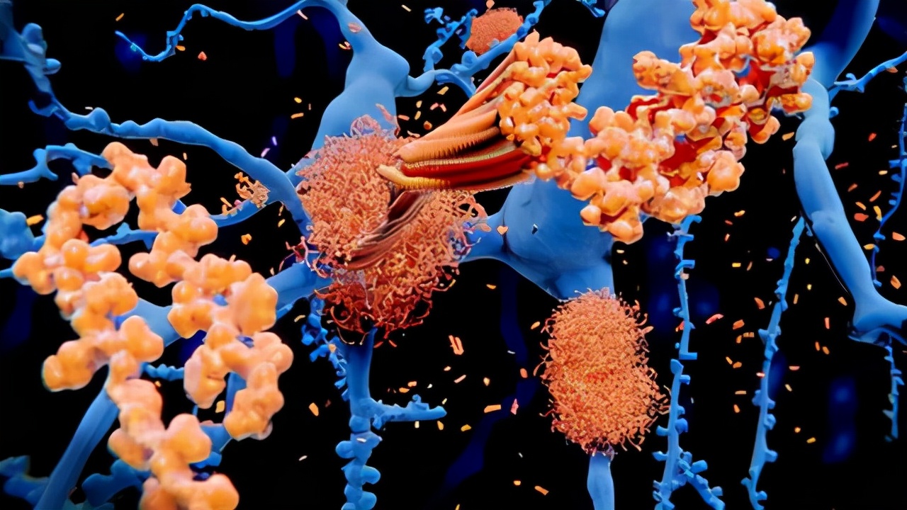 致死率百分百疾病,感染朊病毒有多可怕