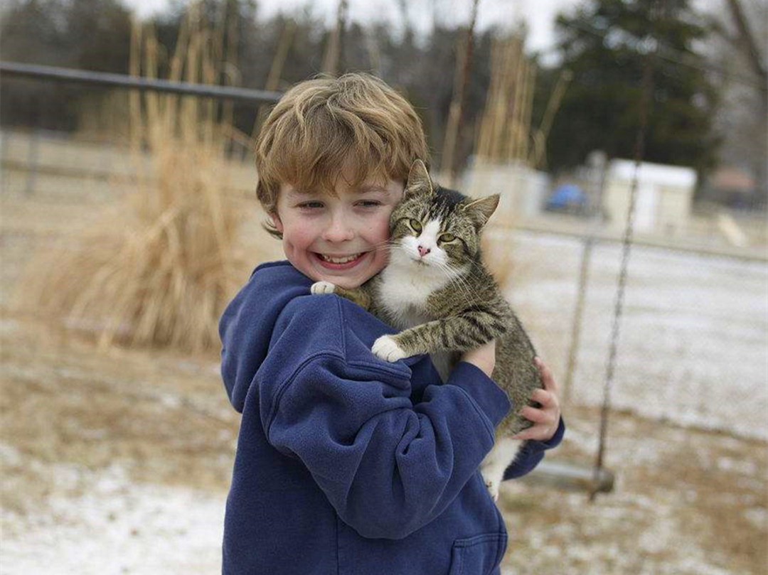 铲屎官错误抱猫被排斥，学会三种正确姿势，主人不再担心被抓伤！