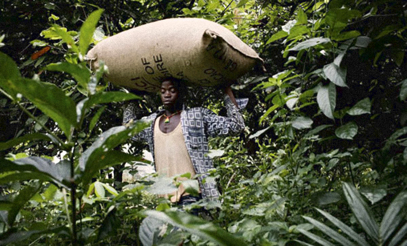 你不知道的国家冷知识毛里求斯篇,你不知道的国家冷知识玻利维亚篇