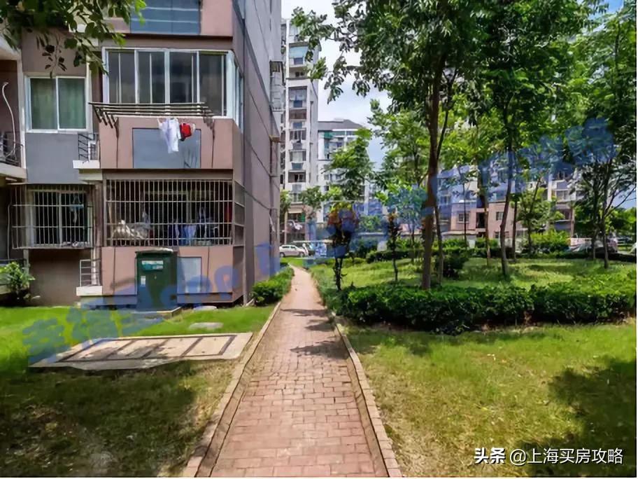 浦东第一公办牛校,上海市浦东新区第一小学