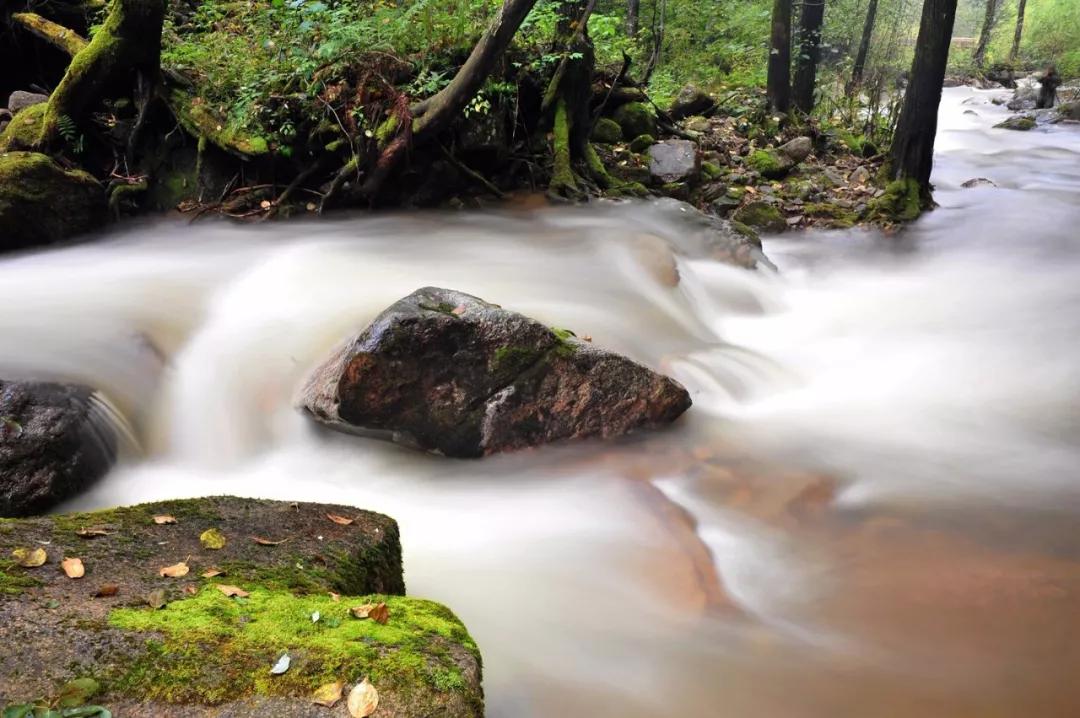 关于描写长江的诗句古诗大全,20首诗词带您领略中华最美长江