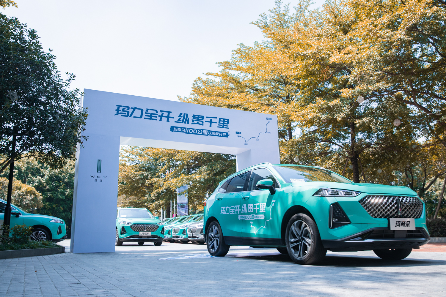 玛奇朵dht-phev油耗,实测油耗6升以下的车