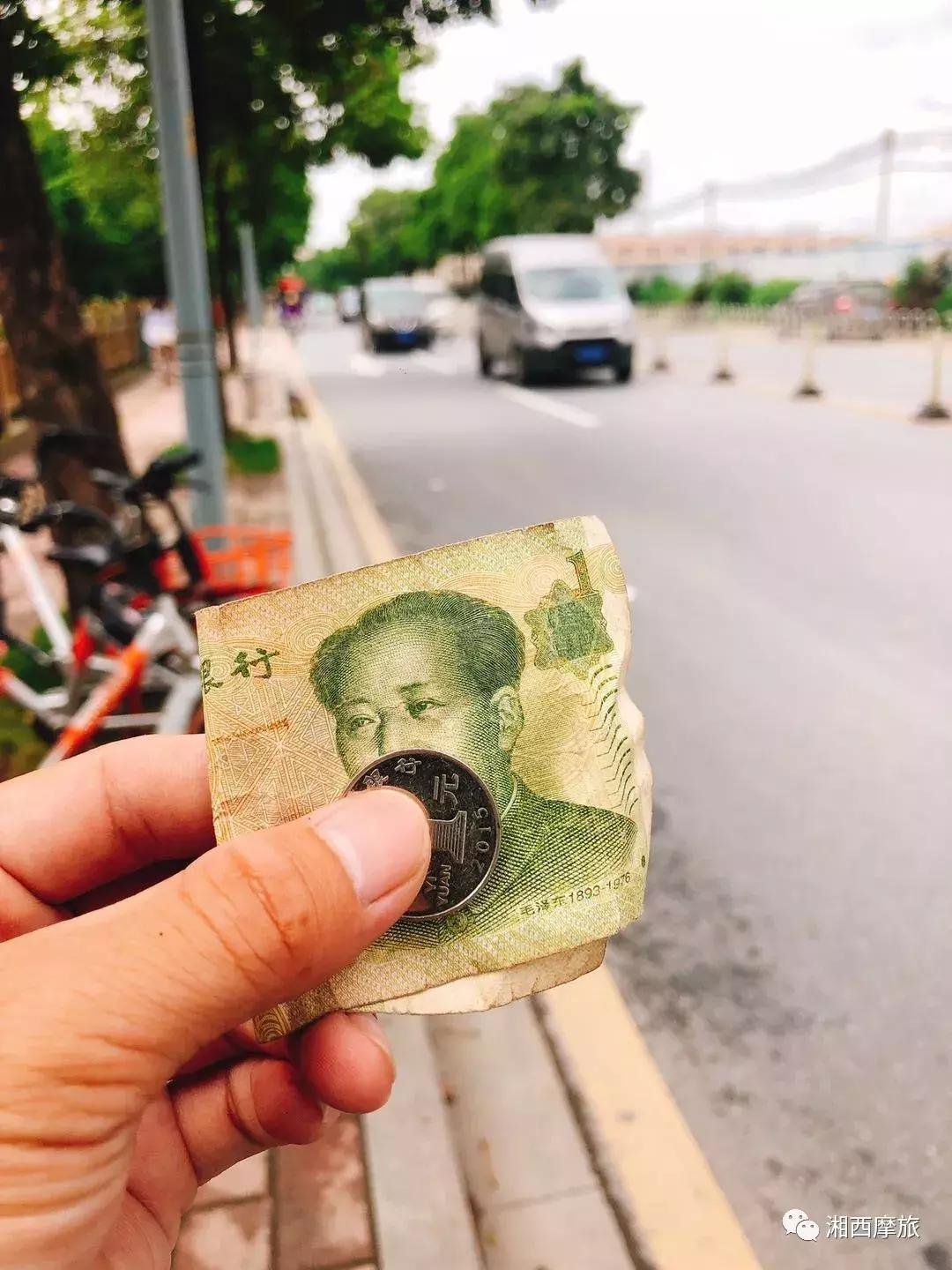 骑行北京第二十八天,骑行中国麦田第七十三天