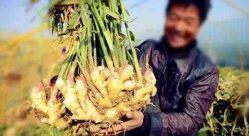 莒县还有这么美的地方,莒县真是美