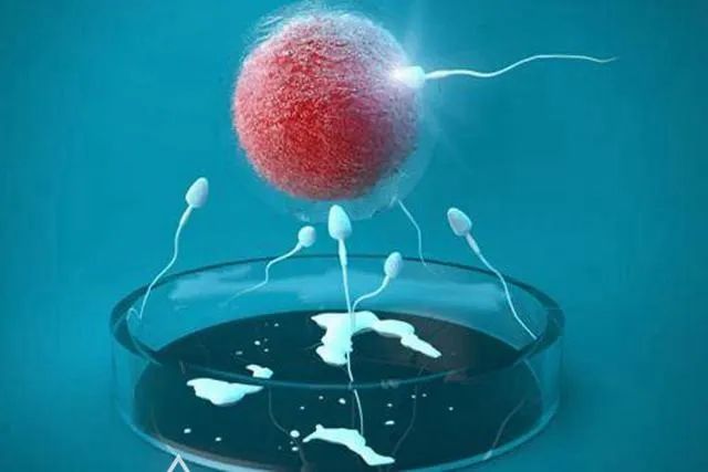 中国第一名试管婴儿现状,中国前几例试管婴儿目前情况