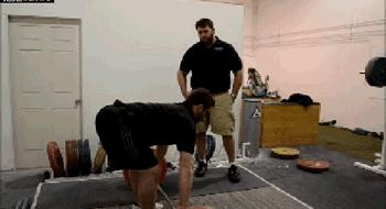 背部训练健身体式动作图解,健身背部训练背背佳