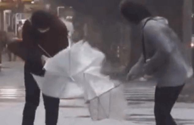 十大顶级雨伞品牌天堂伞,天堂伞质量排名第一