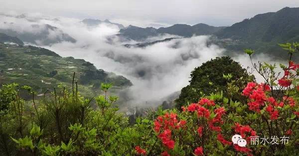 宁波高铁去丽水,丽水直达宁波高铁