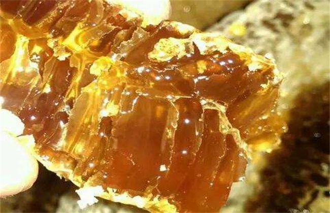 土蜂蜜膏价格,土蜂蜜的价格