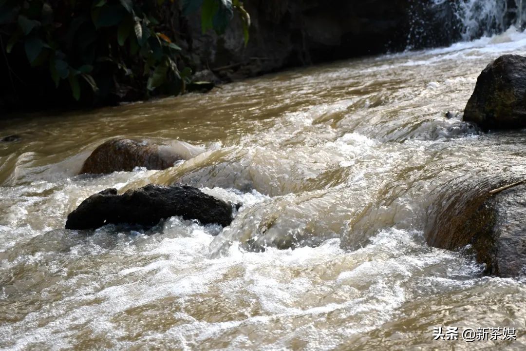 南糯山有什么景点,南糯山有哪些景点