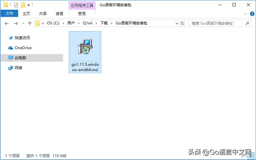 go语言编写入门教程,go语言搭建web项目