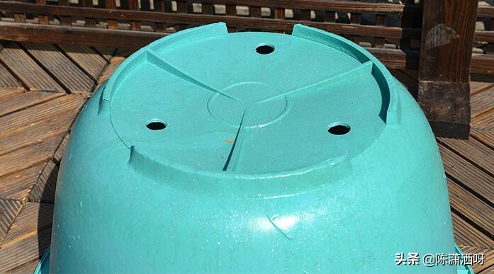 常见花卉花盆图片大全,各种花盆的优缺点图片介绍