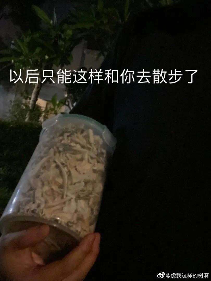 金毛siri被无良商家托运真实视频,金毛被主人丢弃了真是太可怜了