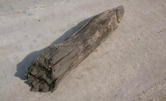 票字家族:骠、镖、标(標)、鳔、膘,鱼儿之所以能在水里沉浮