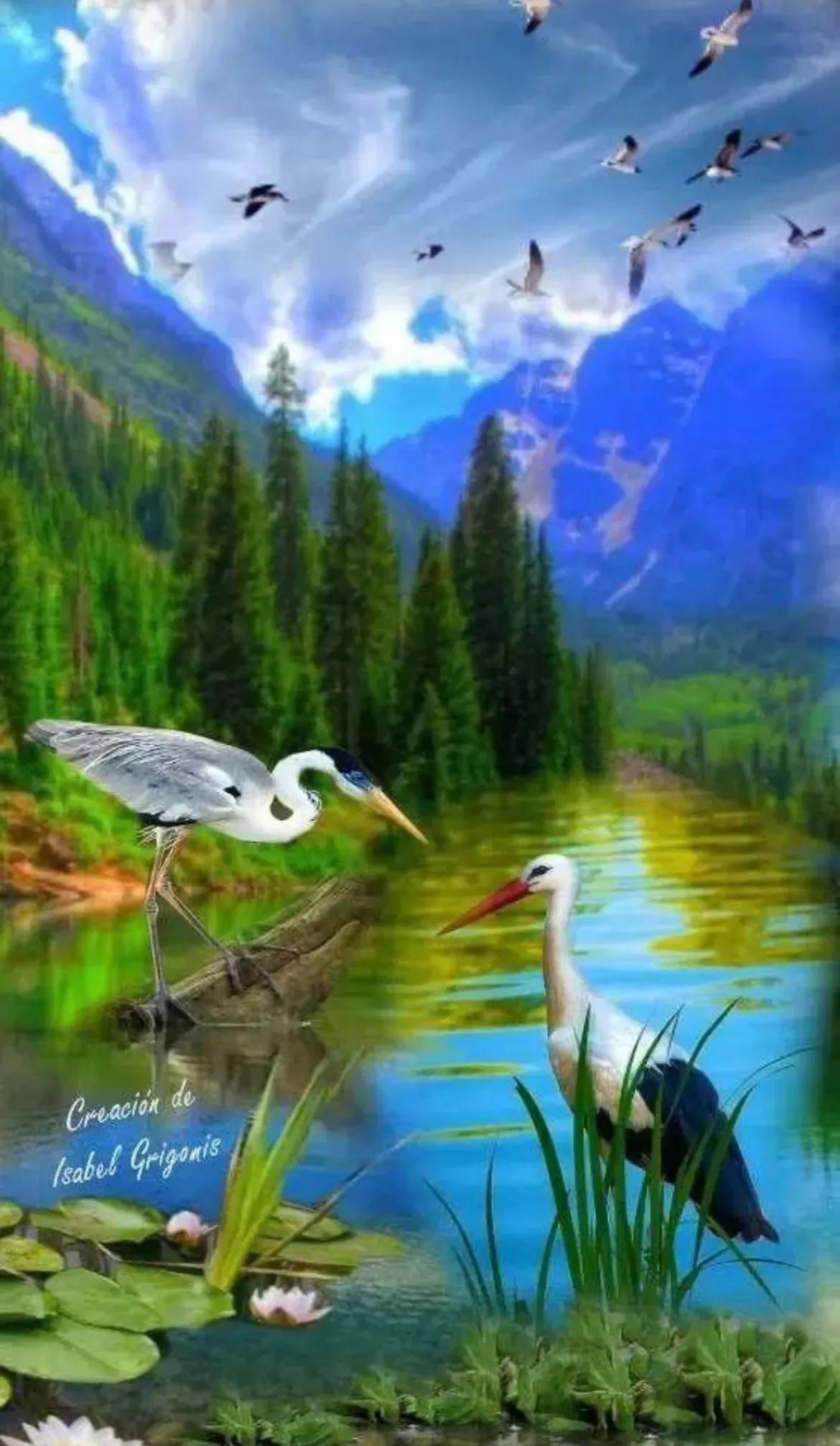 江浙沪方言土话大全搞笑,海派方言大全完整版